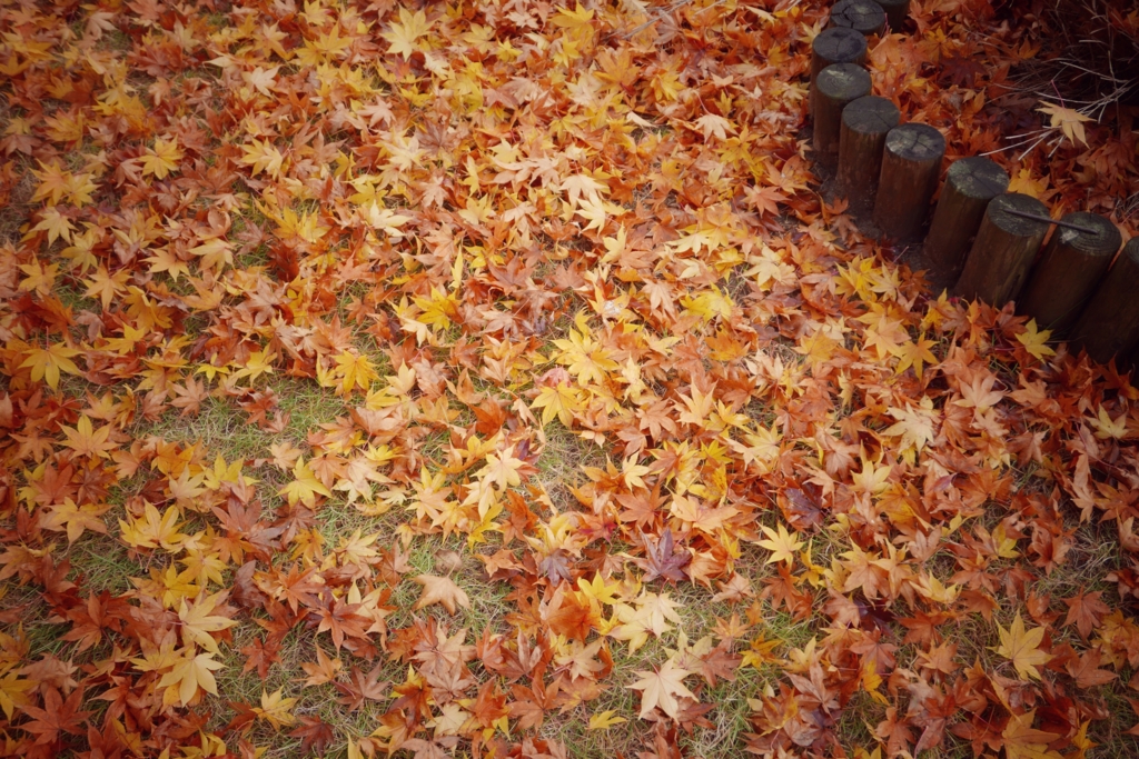 f:id:kurasimple:20161124122844j:plain f:id:kurasimple:20161124122844j:plain