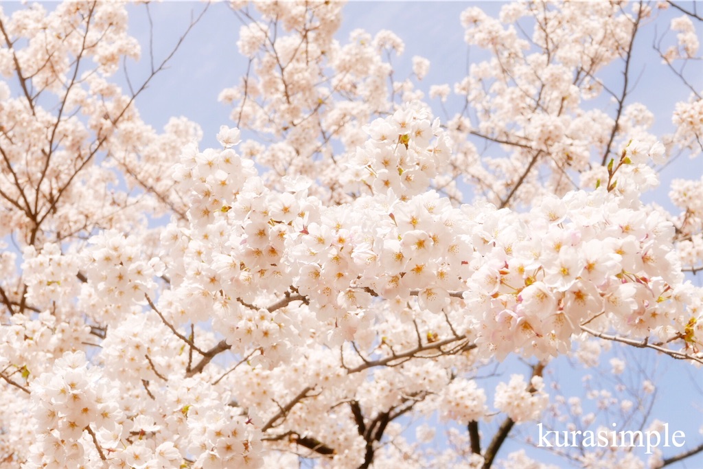 f:id:kurasimple:20180417185818j:image f:id:kurasimple:20180417185818j:image